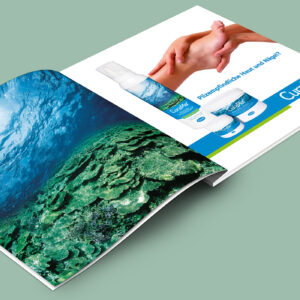 Design Layout Grafik Fortuna München