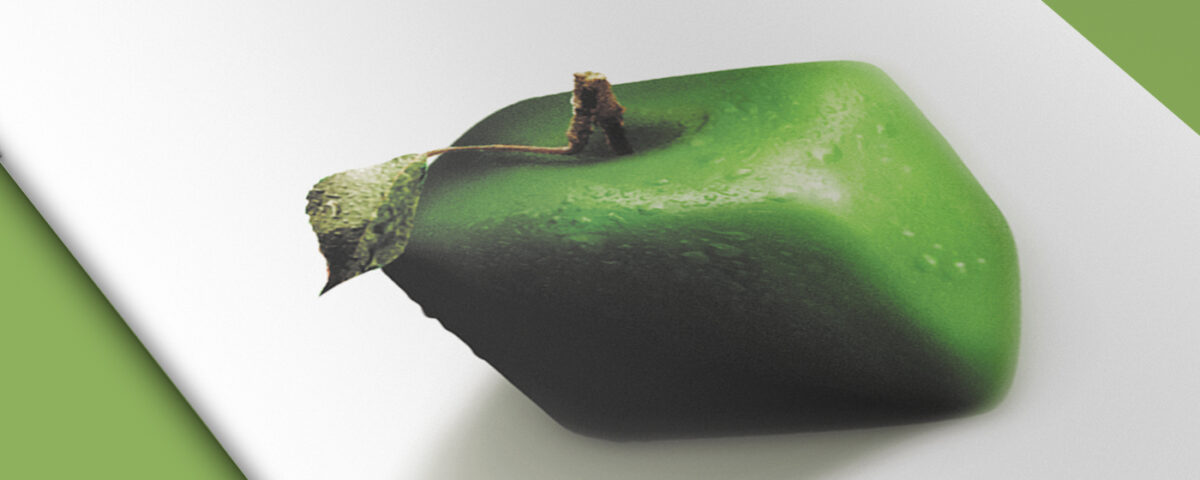 Packaging Kampagne Design Flyer Broschüre Buchdesign Fortuna München